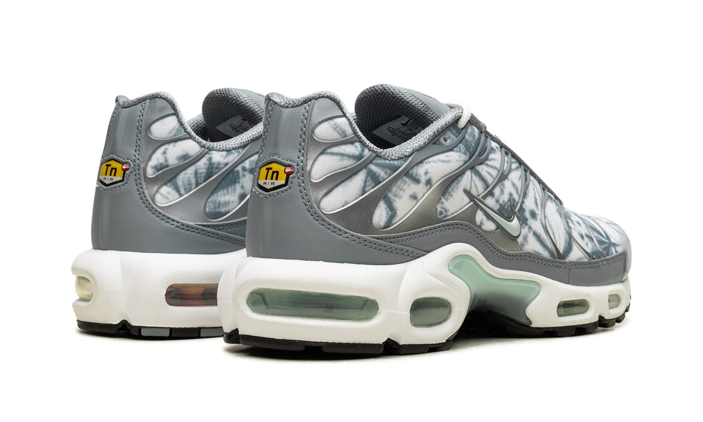 Nike Air Max Plus "Waterway"