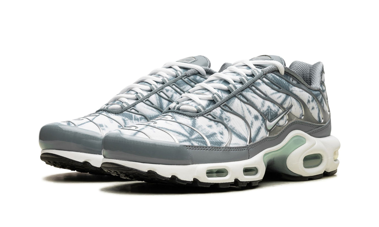 Nike Air Max Plus "Waterway"