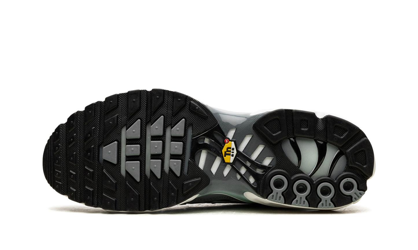 Nike Air Max Plus "Waterway"